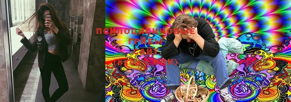мяу мяу мука Богородицк