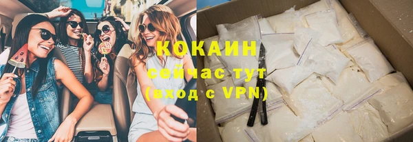 эйфоретик Тайга