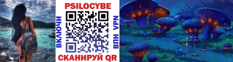 Галлюциногенные грибы Psilocybe  Бугульма 